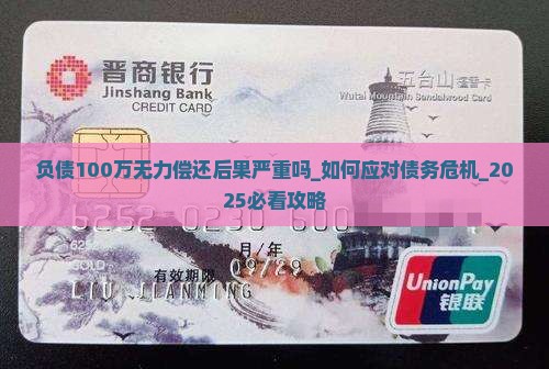 负债100万无力偿还后果严重吗