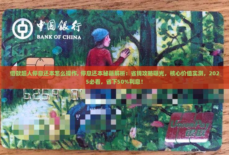 借款超人停息还本怎么操作