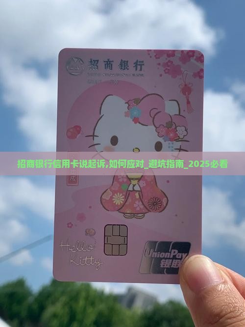 招商银行信用卡说起诉应该怎么处理