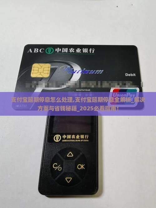 支付宝延期停息怎么处理