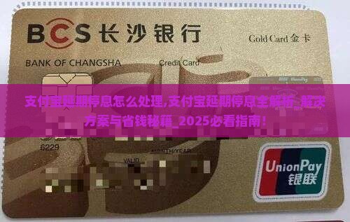 支付宝延期停息怎么处理