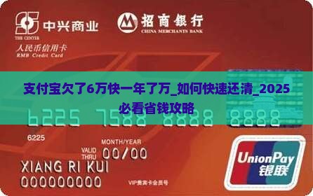 支付宝欠了6万快一年了万