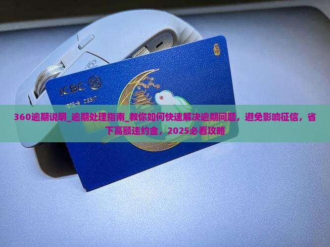360逾期说明及应对措施